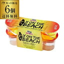 【全品P2倍 5/5限定】スリングショット エックスオンザビーチ 「ラズベリーリキュール & パイナップルリキュール」6本パック 18本(30ml×3本入が6パ...
