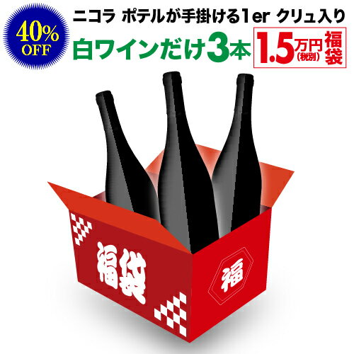 【全品P3倍 5/15限定】送料無料 27,500円(税込)相当が入って16,500円(税込)！ 白ワインだけ3本 1.5万円(税別)福袋 2022年 白ワイン 辛口 ワイン福袋 ワインセット 浜運 母の日 父の日 早割