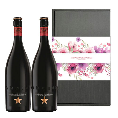 (ママ割エントリーでP2倍 7/25まで)母の日スリーブ付き訳あり 賞味期限2023/8/9 在庫処分 アウトレット ギフト 贈り物 高級ビール スペイン イネディット 750ml 2本 瓶 送料無料 花以外 化粧箱入 RSL あす楽のサムネイル