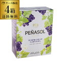 【全品P2倍 5/25限定】《箱ワイン》赤ワイン ペナソル・ティント 3L 4本 ケース(4箱入) 送料無料 ボックスワイン BOX 3000ml 3,000m...