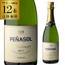 【全品P2倍 5/5限定】1本あたり582円(税込) 送料無料 ペナソル スパークリング ブリュット RSL【ケース(12本入)】