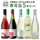 【全品P3倍 3/20限定】1本あたり1,100円(税込) 送料無料 キンキンに冷やして飲みたい微発泡セット 750ml 5本入フリッツアンテ ワインセット スパークリングセット 泡 スパークリング ワイン 微発泡 長S