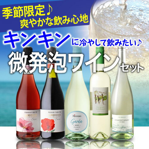 【全品P3倍 5/18～5/20限定】1本あたり1,100円(税込) 送料無料 キンキンに冷やして飲みたい微発泡セット 750ml 5本入フリッツアンテ ワインセット スパークリングセット 泡 スパークリング ワイン 微発泡 長S 父の日 早割 2