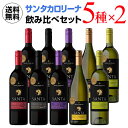 【全品P3倍 4/30限定】サンタ　バイ　サンタカロリーナ　飲み比べ5種セット×2セット　10本セット　送料無料[ワインセット][長S] 赤ワイン 母の日