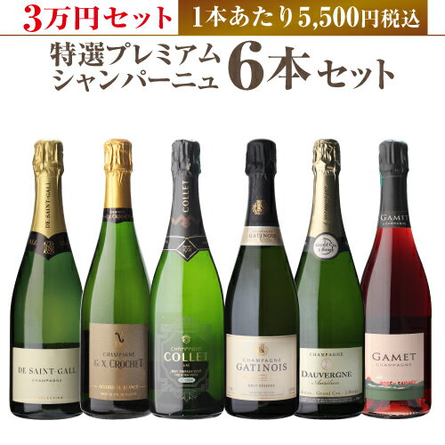 【全品P3倍 5/18～5/20限定】1本あたり5,500円税込 送料無料 ≪3万円セット≫ 特選プレミアムシャンパーニュ6本セット 第3弾 シャンパン シャンパーニュ シャンパンセットスパークリングワイン 高級 ギフト 浜運 父の日 早割