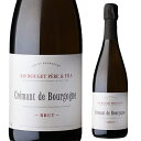 【全品P2倍 5/5限定】クレマン ド ブルゴーニュ ブリュット ルジェ ペール エ フィスエマニュエル ルジェ 750ml フランス ブルゴーニュ 白泡 辛口 虎姫(4)