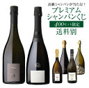 【全品P3倍 4/20限定】プレミアム シャンパンくじ 93弾 高級 シャンパン を探せ トゥルベ トレゾール 特賞は2種類 セドリックブシャール や ヴィルマール が当たるかも!? 【先着400本限り】 シャンパーニュ シャンパン福袋 Wくじ 【送料別】