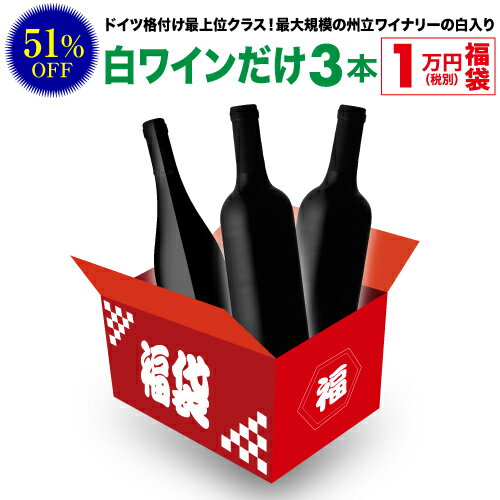 【全品P3倍 5/15限定】送料無料 22,880円(税込)相当が入って11,000円(税込)！ 白ワインだけ3本 1万円(税別)福袋 2023年 白ワイン 辛口 ワイン福袋 ワインセット 浜運 母の日 父の日 早割