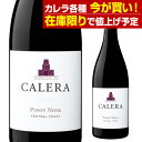 カレラ ピノ ノワール セントラルコースト 2021 750ml正規品 赤ワイン アメリカ カリフォルニア 長S 母の日