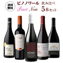 【全品P3倍 4/20限定】ぶどう品種で楽しむ　ピノ・ノワール　ワイン5本セット第14弾【送料無料】[ワインセット] 赤ワイン 長S 母の日