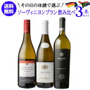 1本あたり3,667 円(税込) 送料無料 その日の体調で選ぶ! 個性豊かな ソーヴィニヨン ブラン 3本セット 750ml 3本入ドイツ 南アフリカ フランス...