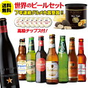 スタロプラメン賞味期限2025/2の訳あり 在庫処分 アウトレット 送料無料 ビール ギフト おしゃれ おつまみ付き世界のビール8本セット トリュフ風ポテトチップス ビールセット 飲み比べ 高級ポテト クラフトビール RSL