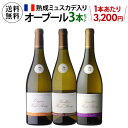 1本あたり3,200円(税込) 送料無料 熟成ミュスカデ オー ブール 3本セット 第5弾 750ml 3本入フランス ロワール ワインセット 浜運