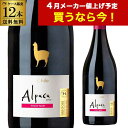 【全品P2倍 5/5限定】アルパカ ピノ ノワール サンタ ヘレナ 750ml 12本入ケース チリ セントラルヴァレー ミディアムボディ 赤ワイン 八幡