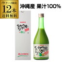 【全品P2倍 5/5限定】【送料無料】青切りシークヮーサー100 500ml 12本 ケース 原液 果汁100% 沖縄県産 沖縄 シークヮーサージュース 認知症...