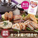 母の日カード付 送料無料 松野下蒲鉾 さつま揚げ詰合せ 母の日 贈り物 贈答用 食べ物 薩摩揚 クール代込 産地直送 冷蔵 松野下蒲鉾(産直)予約 2025/5...