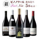 【全品P2倍 5/5限定】送料無料 ぶどう品種で楽しむ ピノノワール ワイン5本セット第15弾 ワインセット 赤ワイン セット 送料無料 手土産 お祝い ギフト...