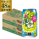 送料無料 サントリー -196℃ 夏のキウイチューハイ 期間限定 350ml缶×48本 (24本×2ケース) チューハイ サワー 缶チューハイ 夏 キウイ 長S