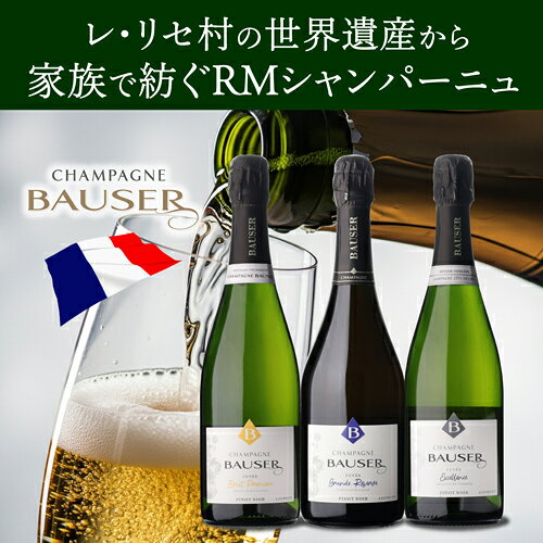 ボゼールキュヴェ ブリュット エクセランス [NV] 箱なし RM 750ml コート デ バール シャンパーニュ　辛口 シャンパン 浜運 likaman-10045477 お酒の専門店 リカマン楽天市場店 サンプル画像2