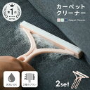 【2本セット】毛玉取り ブラシ ペット 毛 取り クリーナー ホコリ ブラシ 抜け毛 カーペット ソファ こたつ 毛玉取りブラシ 毛玉とり 猫の毛 犬の毛 カー...