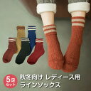 レディース 靴下 ラインソックス 5足セット ソックス 暖かい おしゃれ ロークルー カラフル 大人 かわいい 冷房対策 保温 厚手 防寒対策 冷え 冷え性対策 socks19