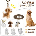 犬の毛 キーホルダー ペット 遺毛 ケース 透明 ペット 遺毛入れ 1/2個セット ペットメモリアルボトル 犬の毛収納ボトル 犬のキーホルダー 毛を保管するボト...