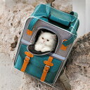 ペットキャリーバッグ 猫 犬 キャリーバッグ 犬 猫 リュック メッシュ窓 通気性 飛び出し防止 冬夏通用マット ショルダー 折りたたみ お出かけ ドライブ 旅行【海外通販】