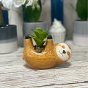 送料無料 ミニ多肉オブジェ フェイクグリーン 植木鉢 おしゃれ 単品 鉢植え 造花 人工多肉植物 ミニ コンパクト 人工観葉植物 インテリア グリーン 楽天海外...