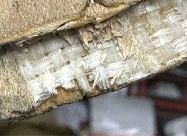 ��like SKATEBOARDS��X��hyaku369 ��8.0 ��8.25��8.5��8.75��FULL concave Skateboard Deck�����ʥǥ�����ᥤ�ץ� 7PLY +���饹�ե����С�1PLY EPOXY RESIN Glue (ANTI HERO�˻������󥱡���)���̿��ˤ�4��̤äƤ��ޤ���1��β��ʤǤ���