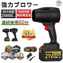 【楽天1位】ブロワー 洗車 充電式ブロワー ブロアー 強力 ジェットドライブロワー 電