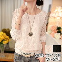 トップス レディース 春 夏 秋 レース カットソー きれいめ カジュアル シャツ ブラウス 薄手 可愛い 7分袖 袖あり 上品 韓国 コーデ ブラック 黒 ホ...