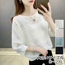 トップス ニット カットソー レディース プルオーバー レース 透かし編み エレガント 七分袖 きれいめ カジュアル フェミニン 大人 可愛い 抜け感 透け感 ...