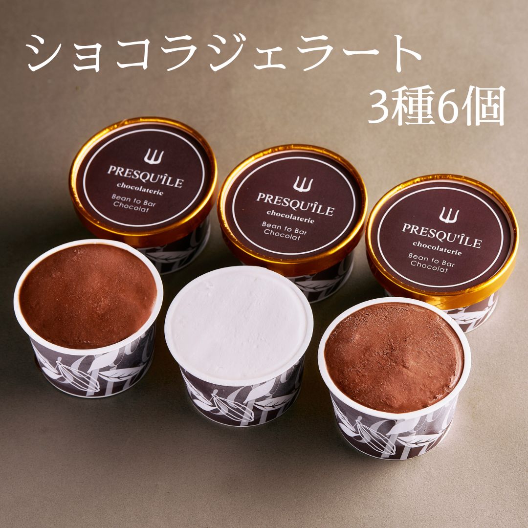 「ジェラート」ショコラ・ラフィネ｜プレスキル ショコラトリー 1位 有名店 チョコ ショコラ お取り寄せスイーツ おしゃれ 上品 人気 芸能人 プレゼント ギフト 手土産 誕生日 名店 高級 お祝い お返し 冬スイーツ アイス ソルベ カカオパルプ 父の日