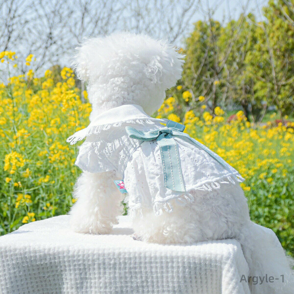 【送料無料】犬服 ワンピース 夏服 春服 腹開き リボン付き 女の子 通気性 ドッグウェア 犬 服 スカート 前開き 可愛い 春 夏 秋 小型犬