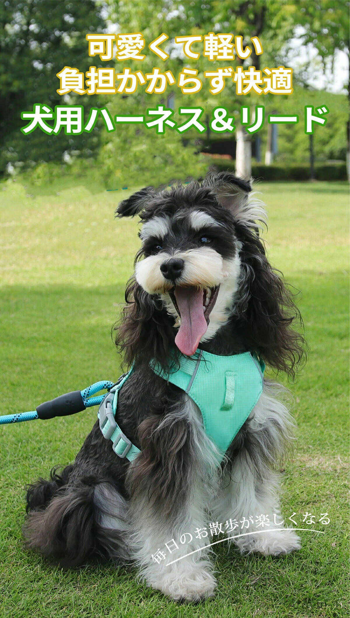 Harness Leash - 【送料無料】犬 ハーネス リード 小型犬 中型犬 大型犬 おしゃれ 抜けない 超軽量 通気性 速乾 可愛い 胴輪 犬ハーネス 犬用ハーネス