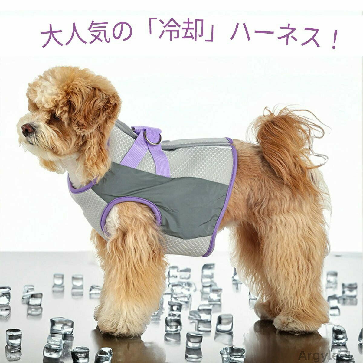 【送料無料】犬 クールベスト ハーネス 冷感 ひんやり 冷却ベスト 夏服 犬の服 冷感服 通気性 着脱簡単 袖なし 日焼き防ぐ UV 熱中症対策