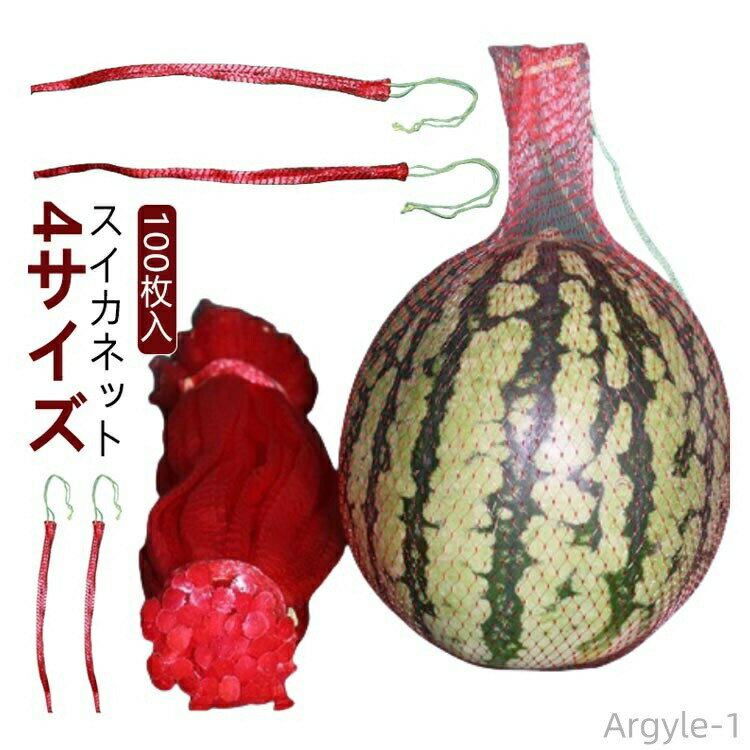 【送料無料】大玉用 吊り下げスイカネット 網 中玉 ネット メッシュネット袋 直売 すいかネット 西瓜 100枚入り スイカ すいか ロープ付き