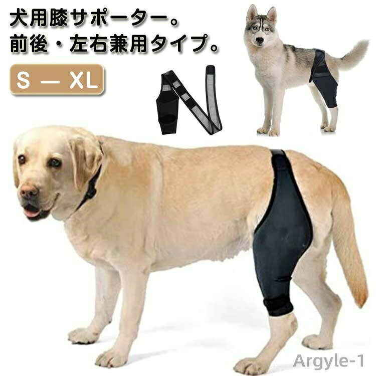 ������̵���۸� ���ݡ����� ���� ����ץ��ƥ����� ���庸������ �����ݸ� ���� ɨ ���� æ�� �ݸ� �ץ��ƥ����� ��� ��ϥӥ� ���� �ڥå����� ������...