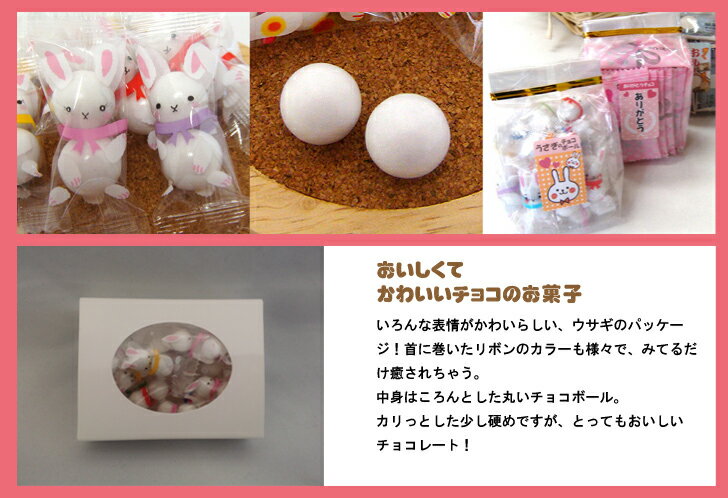 【普通郵便送料無料】かわいいうさぎチョコレート80g　兎　うさぎチョコ ホワイトデー ギフト お返し におすすめ バレンタイン チョコ おもしろ【楽ギフ_包装】格安通販　バレンタイン　人気　ランキング