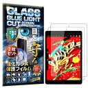2枚 RISE ガラスフィルム フィルム ブルーライトカット 93% iPad 10.2 iPad 第9世代 2021 / iPad 第8世代 2020 / iPad 第7世代 2019 用 保護フィルム 強化 ガラス 高透過 高光沢 日本製 旭硝子 硬(2)