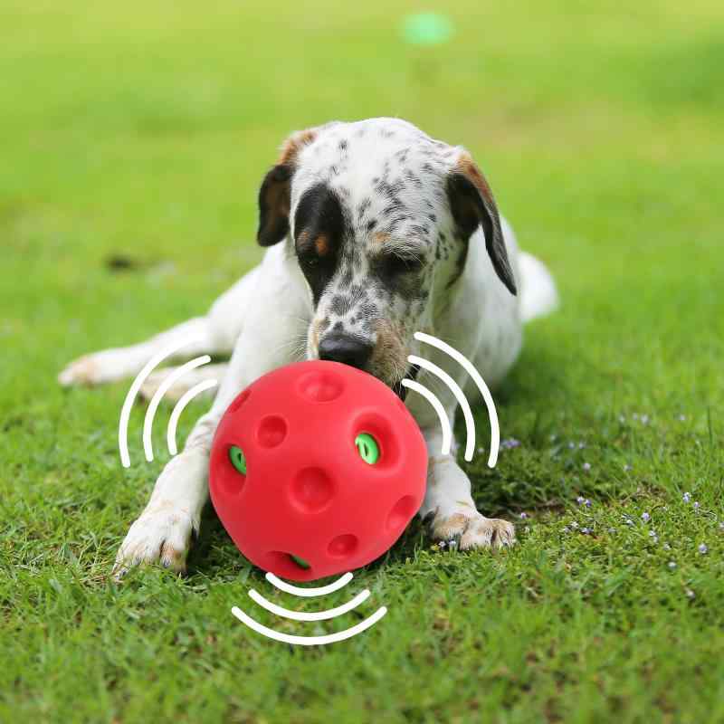 面白い音が出る 犬 おもちゃ ボール 硬い 直径14cm 大きめ 犬用 ボール おもちゃ ぽわぽわ大きな音がでる 勇敢なワンちゃんへ 犬のボール お手入れ簡単 中型犬 大型犬【大きな音が鳴る】大きな音が好きなワンちゃんにお勧め大きな音に敏感、怖がるワンちゃんにはご遠慮ください【おもしろい音が出る】転がるとぽわぽわと気の抜けた音がするボールおもちゃ、ピーピーという音に飽きたワンコが夢中に追いかけます【咥えやすい】直径14cmボールの表面の凸凹部分に歯を入れで簡単にキャッチできますので、噛みつくことのできない小型犬でも十分に遊べます【ストレス解消】鼻先や前脚でボールをコロコロ転がして今までない不思議な音が出る、犬の好奇心をくすぐって愉快なボール遊びが止まらない【硬くて長持ち】 ポリ塩化ビニルを採用して作ったボールは頑丈で耐久性抜群、大型犬が遊んでも壊れにくいです【注意】投げずに転がしたり揺れたりすると遊んでください。硬いおもちゃや大きな音が苦手な犬にはご遠慮ください。