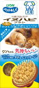 イヌハピブラシ ペットキレイ ごきげんケア 犬用 ライオンペット