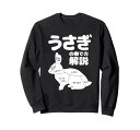 うさぎの撫で方解説 ウサギ好き うさぎ好き うさぎの飼い主 ウサギ飼い おもしろ うさぎ 兎 トレーナー