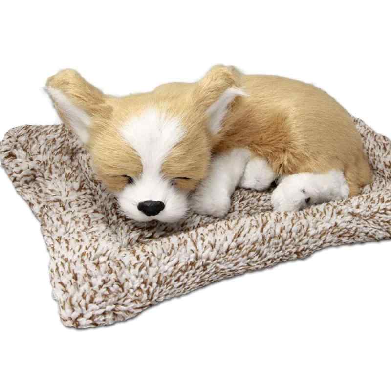 TATOTTE 犬のぬいぐるみ リアル 置物 寝顔が可愛いわんこ 活性炭入り 癒し インテリア(チワワ CR)