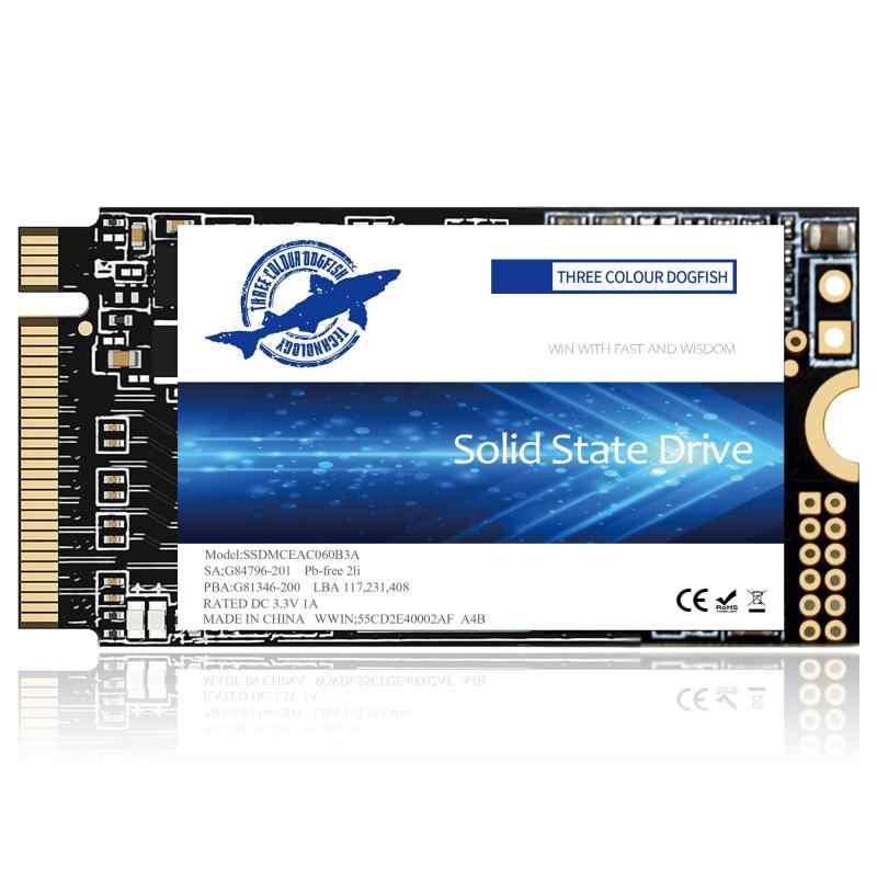 3色 ドッグフィッシュ SSD ホワイト