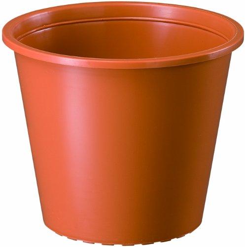 LiLishop6㤨¥ץ饹å ȭݥå ץȭפβǤʤ183ߤˤʤޤ