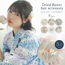 髪飾り 選べる6タイプ ヘアアクセサリー 5点 セット ドライフラワー 花 ヘアピン 浴衣 和装 着物 二次会 食事会 お呼ばれ 成人式 パーティー アクセサリ...