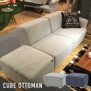 Ibg} \t@ g\t@ rO\t@  Vv O[ lCr[ rO JtF  ڎ r[ V V CUBE SOFA SS-118