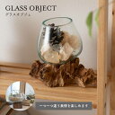 オブジェ 北欧 インテリア モダン ガラス ガラスオブジェ おしゃれ 天然木 置物 アート テラリウム アクアリウム 鉢 花瓶 雑貨 個性的 天然木 リビング TTZ-311