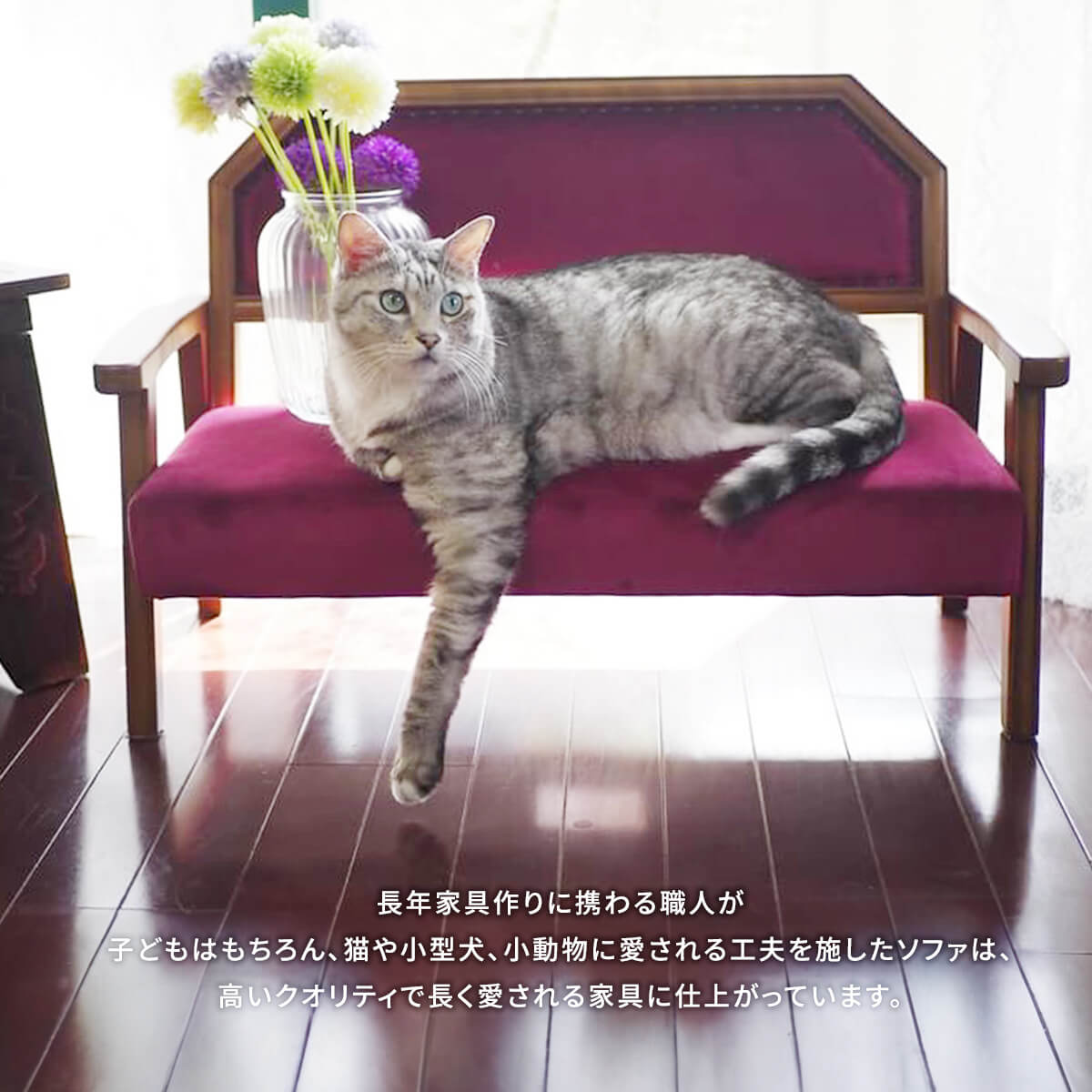 ペット キッズ ソファ おしゃれ 天然木 ワンちゃん 猫 ネコちゃん 犬 わんこ オールシーズン ベロア レッド ブルー 小型犬 ペット家具 ペットソファ キッズソファ SNS 映え BOJAWS BOPT0128 [2]